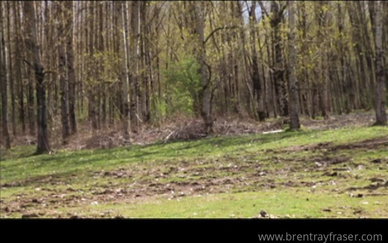 OnlyFans - Brent Ray Fraser - Lumberjack jerk off - free gay porn